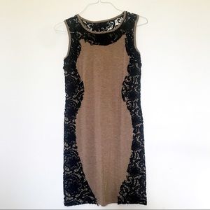 NWT Torn by Ronny Kobo Taupe & Black Lace Dress M
